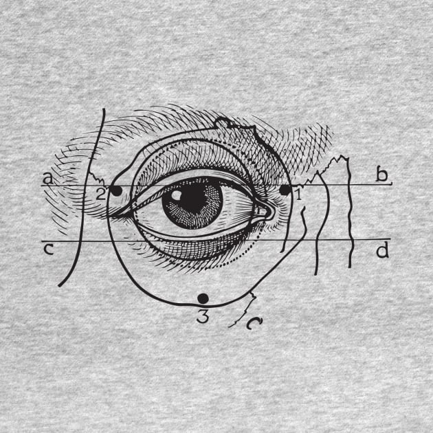 eye anatomy face by chapter2